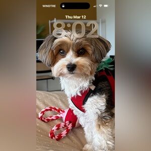 Meet your Posher, Elizabeth